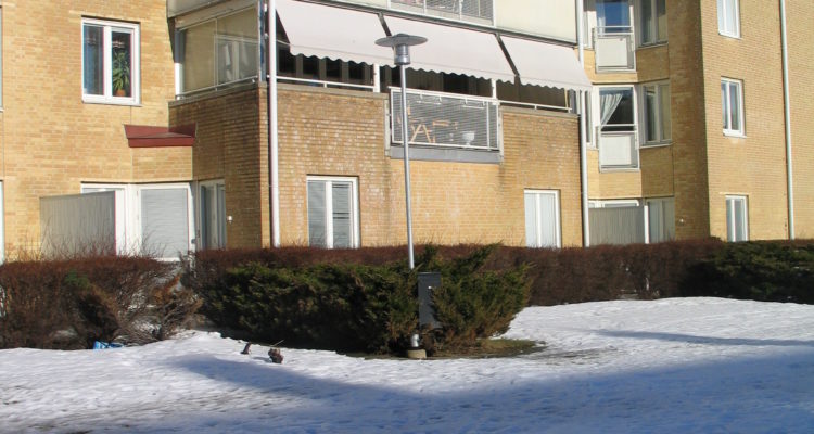 stadsmissionen-uddängen